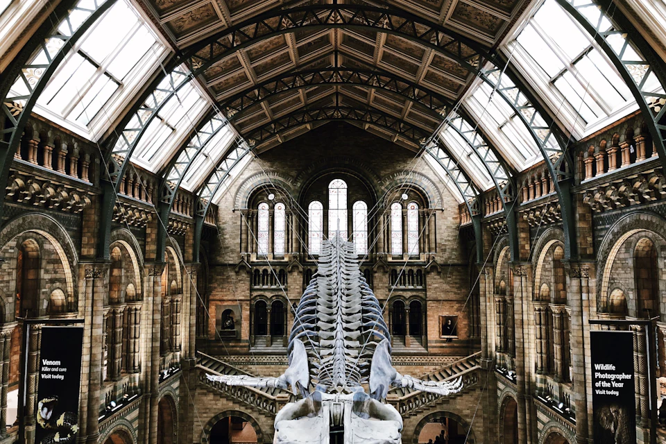 Natural History Museum